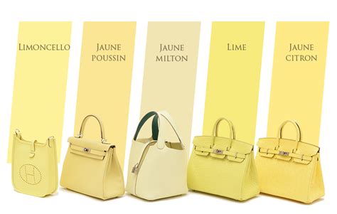 hermes gris paris|jaune milton hermes.